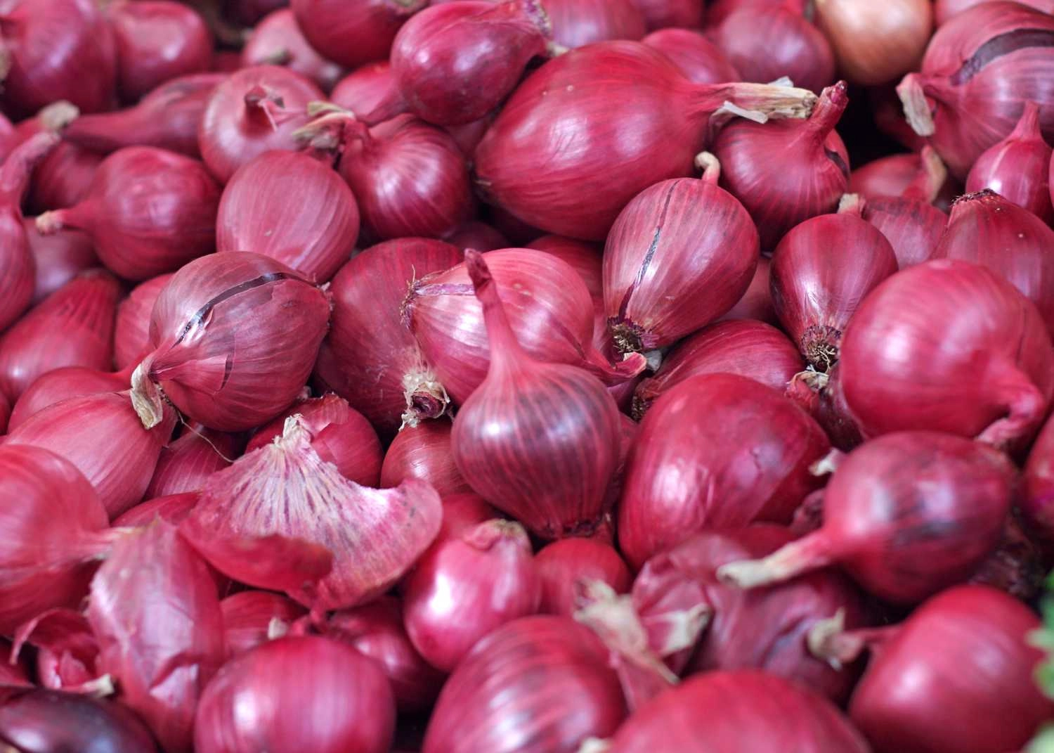 red-onions-1-lb-approx