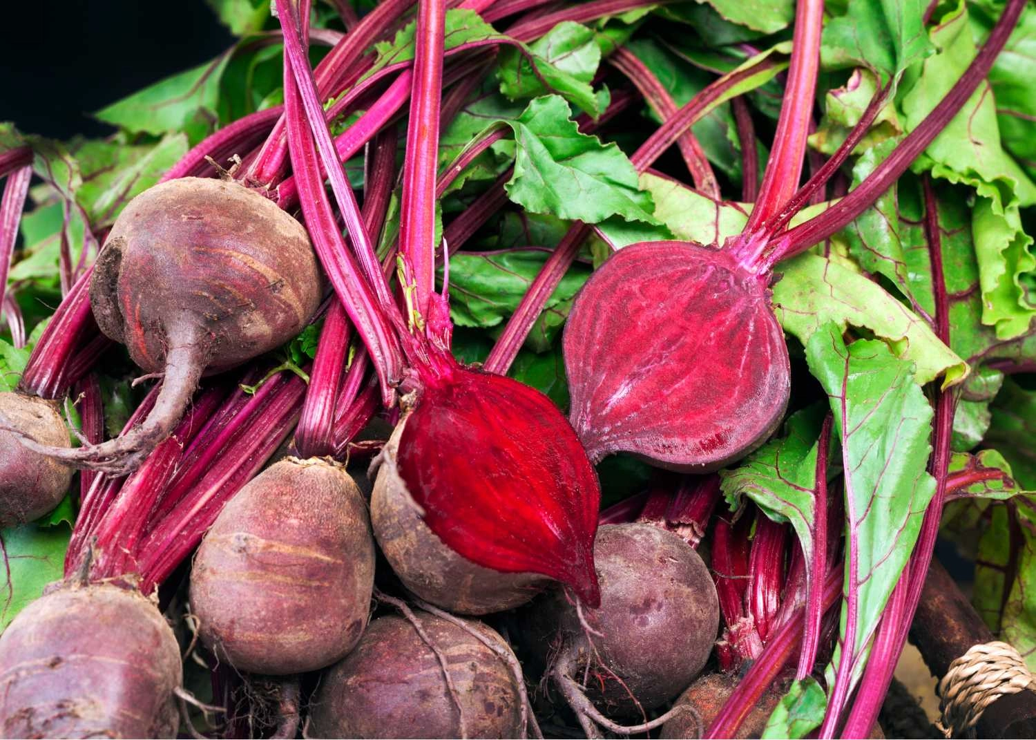 red-beets-1-lb-approx-organic