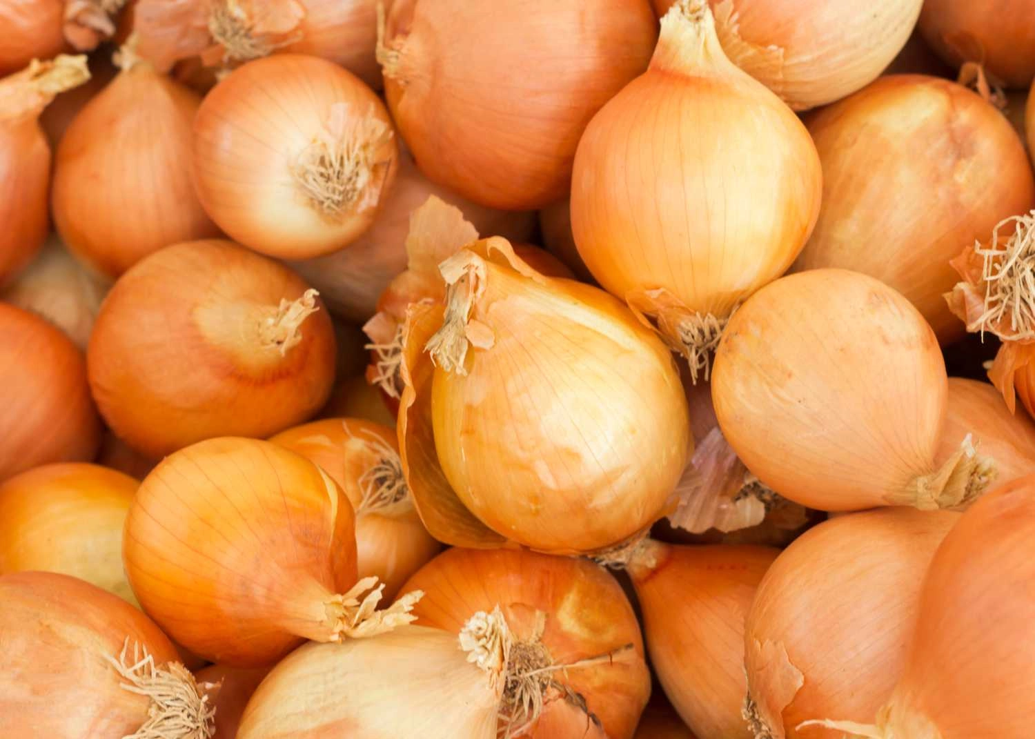 yellow-onions-2-lb-approx-organic