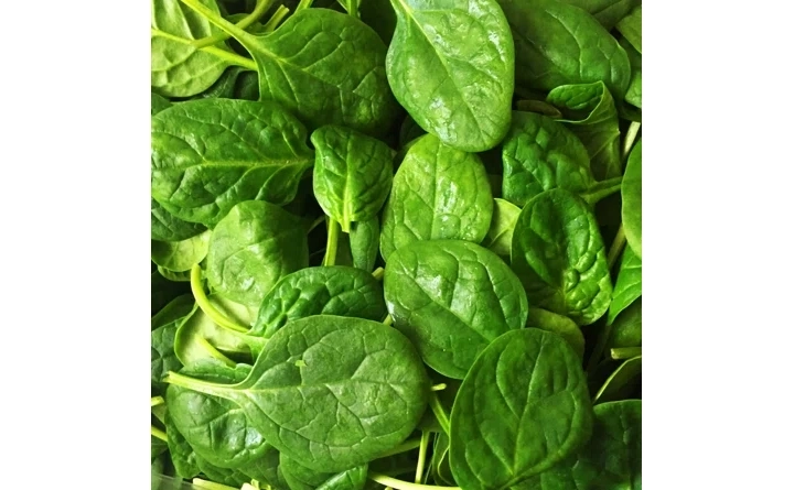 perpetual-spinach-14-bag-certified-naturally-grown