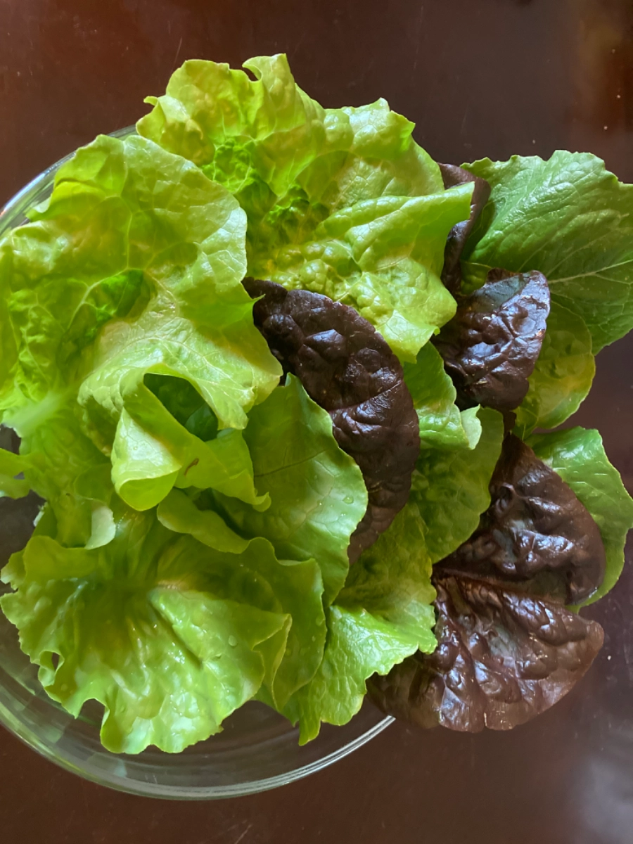 mixed-salad-greens-2