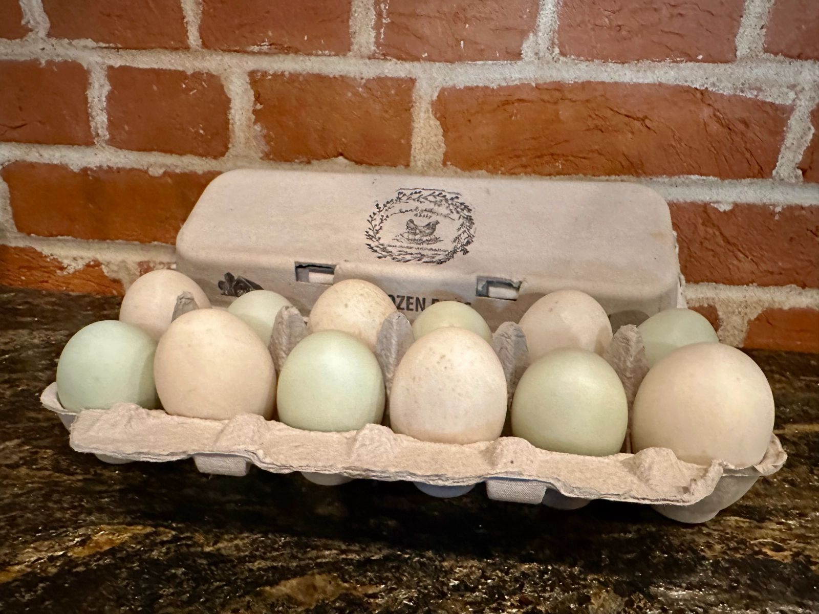 free-range-hand-gathered-duck-eggs