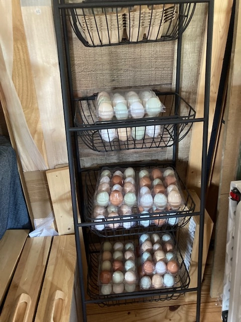 farm-fresh-eggs-42