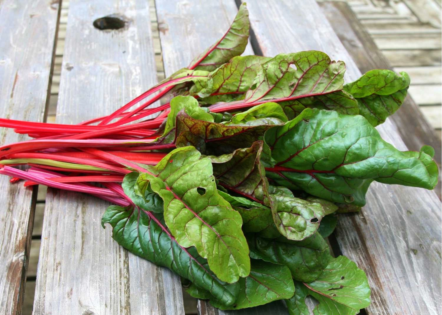 chard-1-bunch