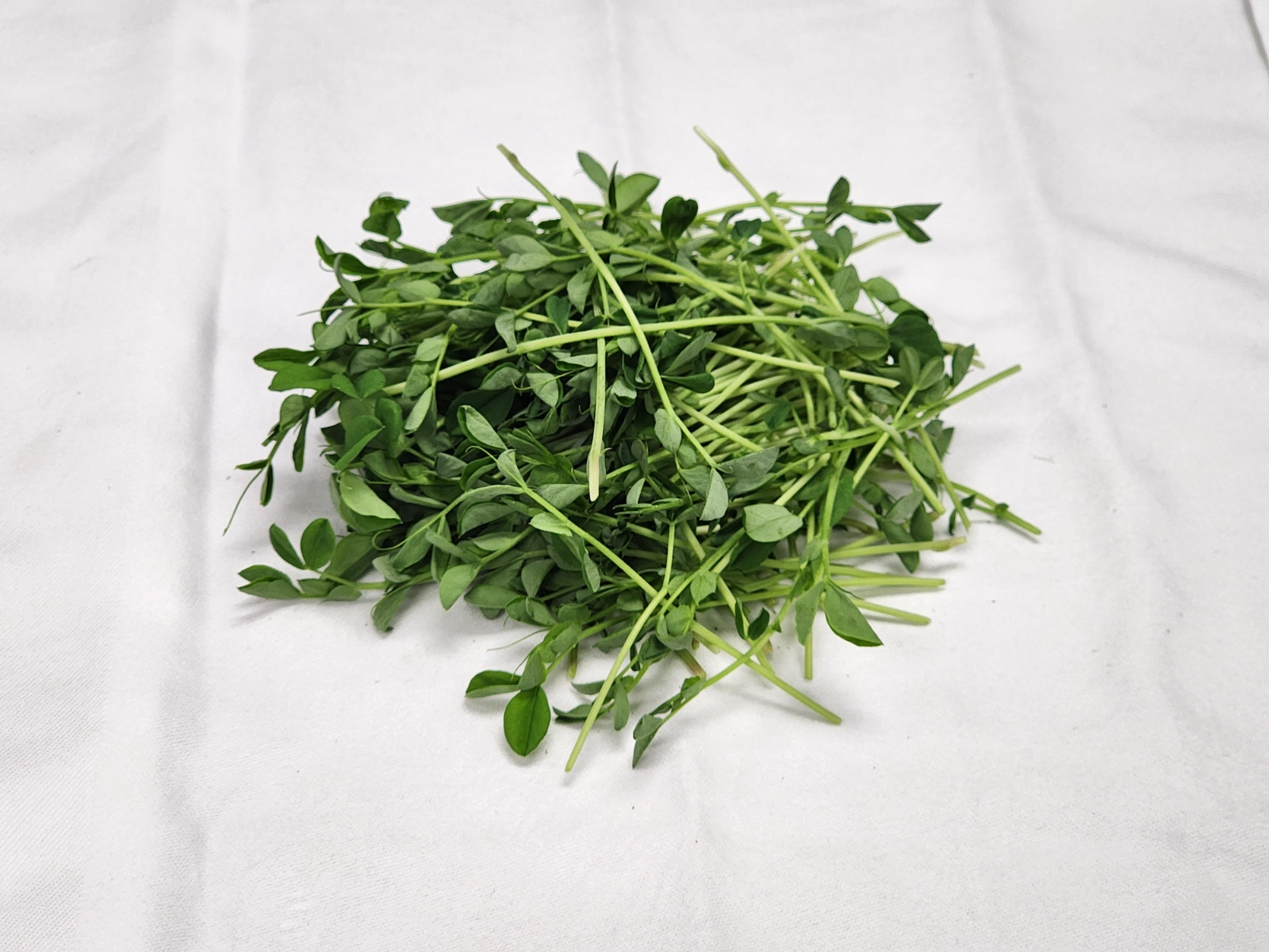 microgreen-pea-shoots-2oz