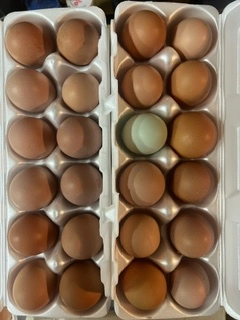 Dozen Washed Chicken Eggs (Pastured Raised, Non - GMO)