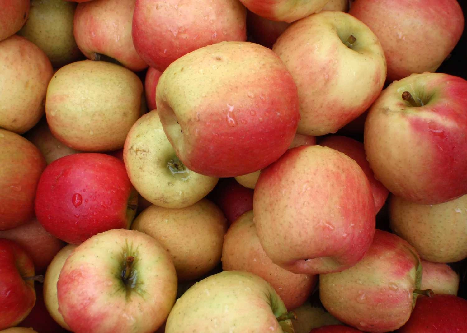 -apples-fuji-3-lb-bag