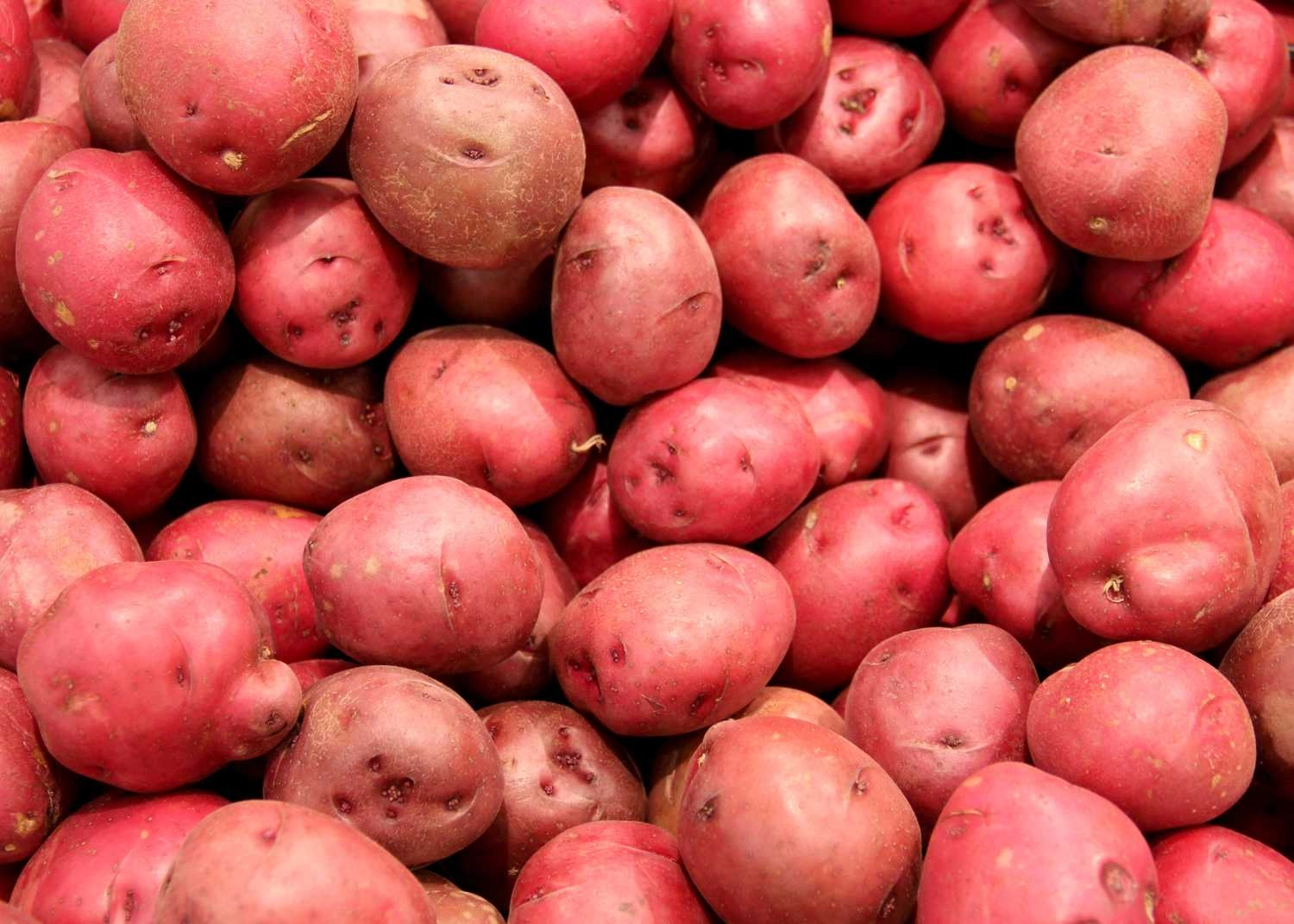 red-potatoes-1-lb-approx