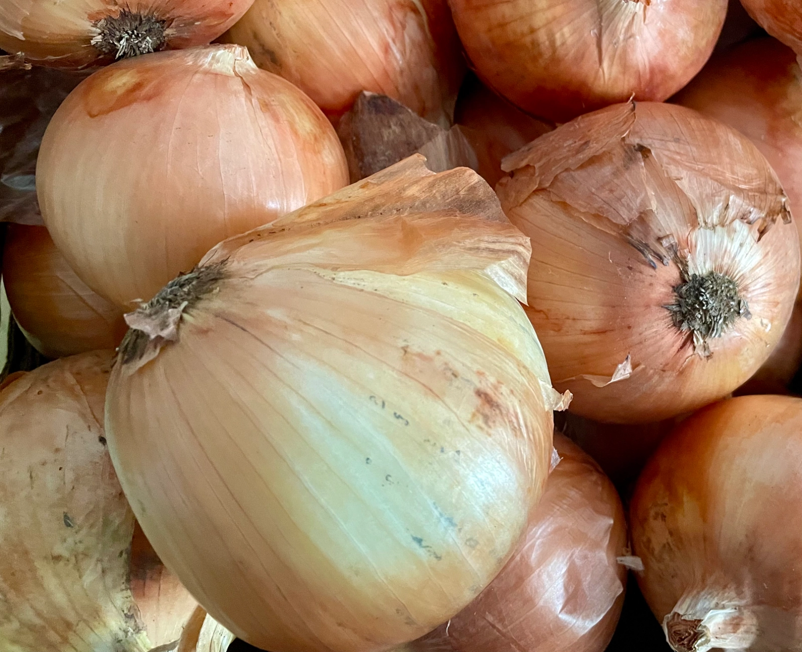 candy-onions-3-pound