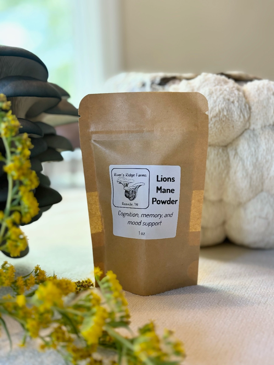 lions-mane-powder--2