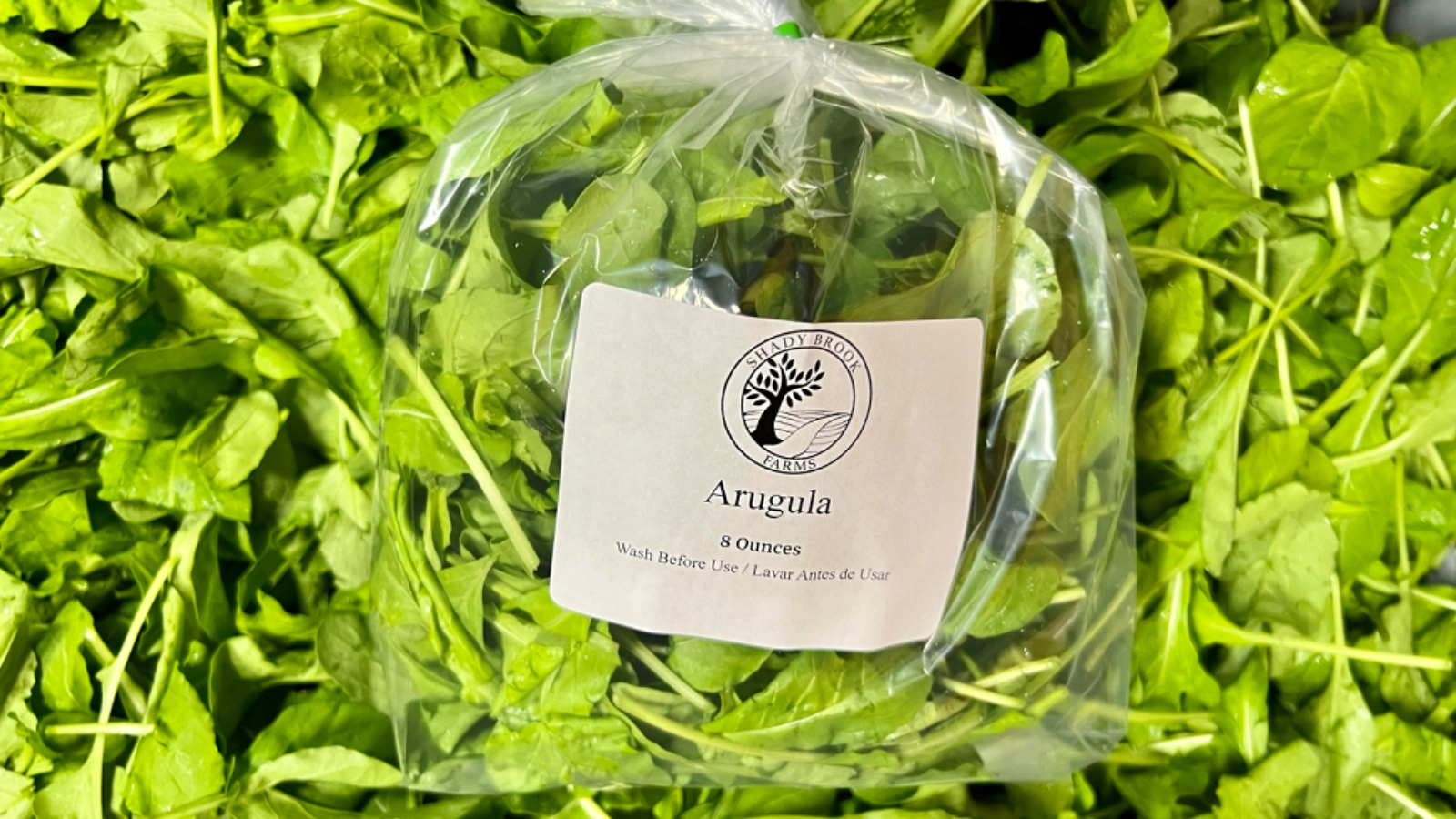 arugula-12-lb-3