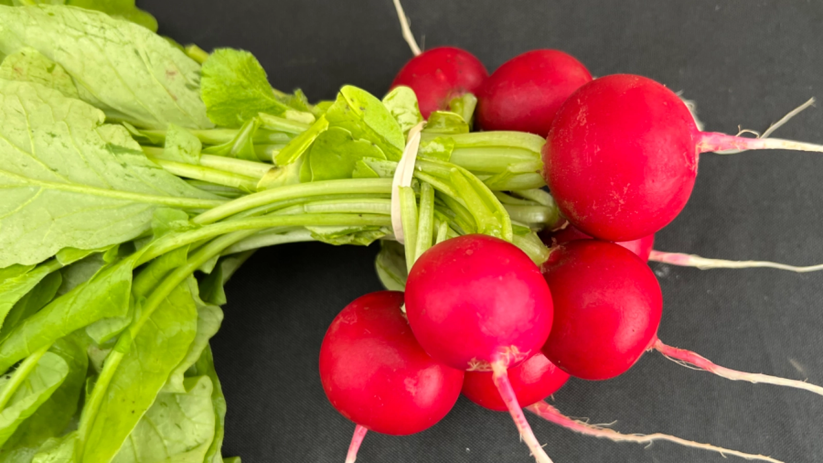 red-radish-bunch-of-9-