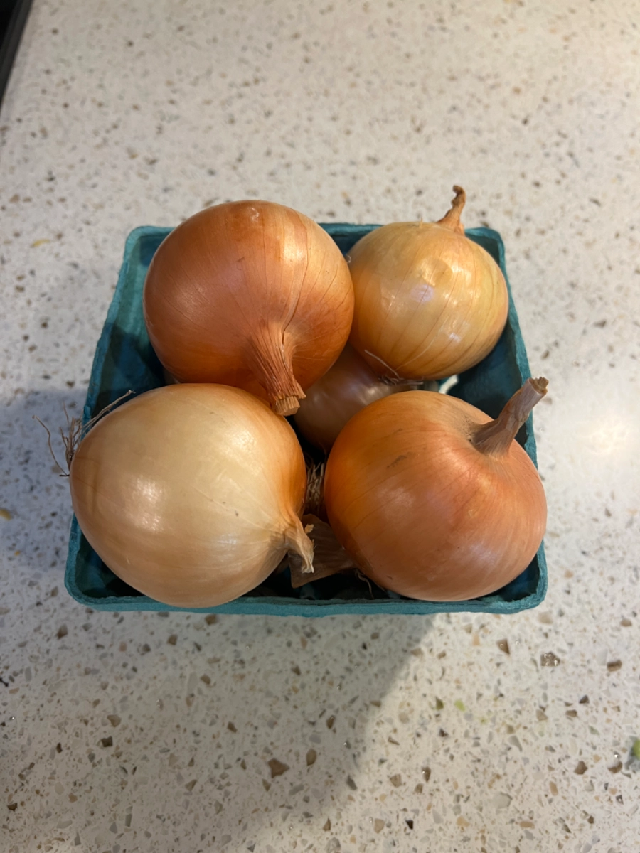 candy-onions-one-quart-of-small-bench-dried-onions-