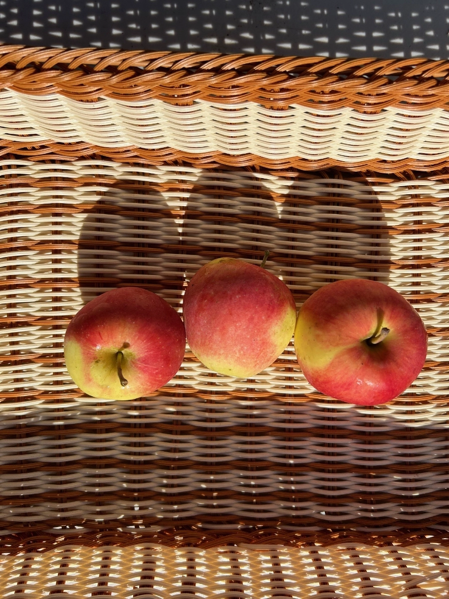 certified-organic-ambrosia-apples