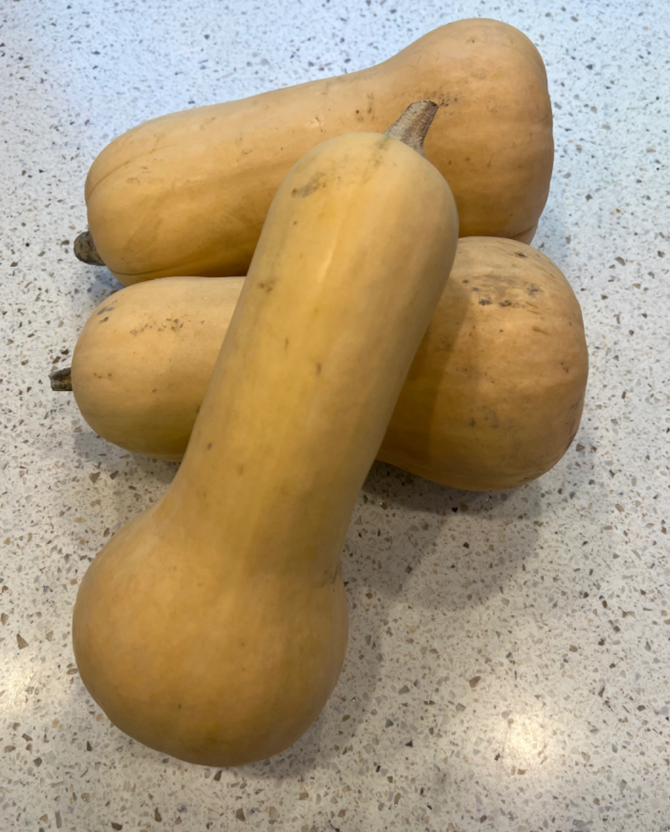 butternut-squash-small