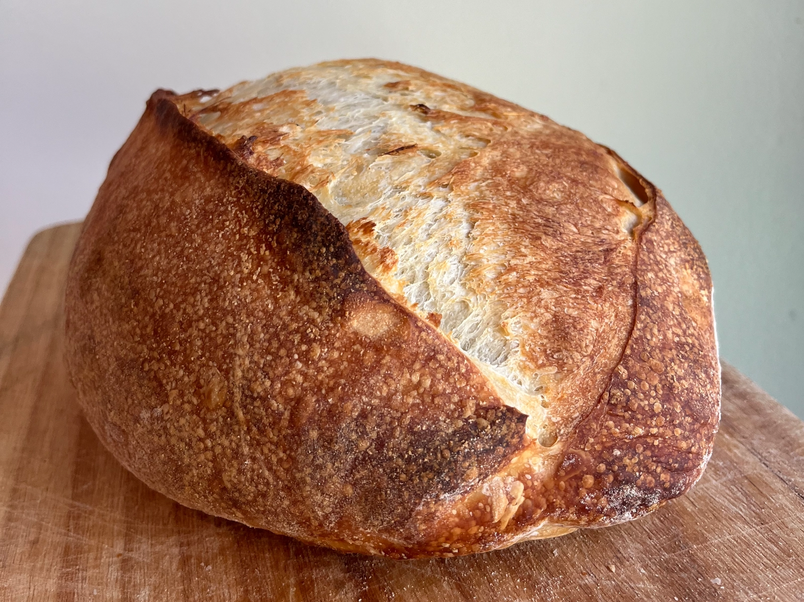 Wolfgang Bakery