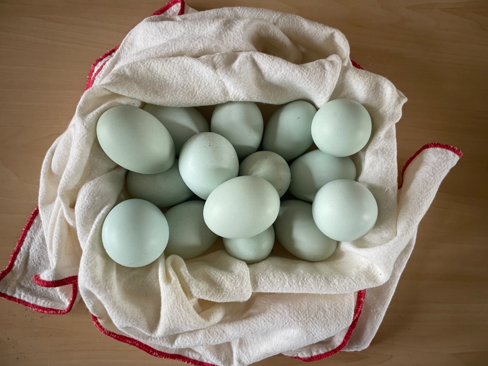 eggs-baby-blue-eggs-1-dozen