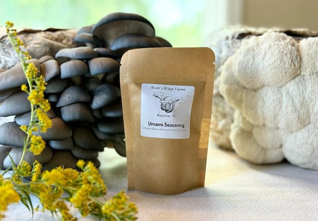 umami-seasoning-