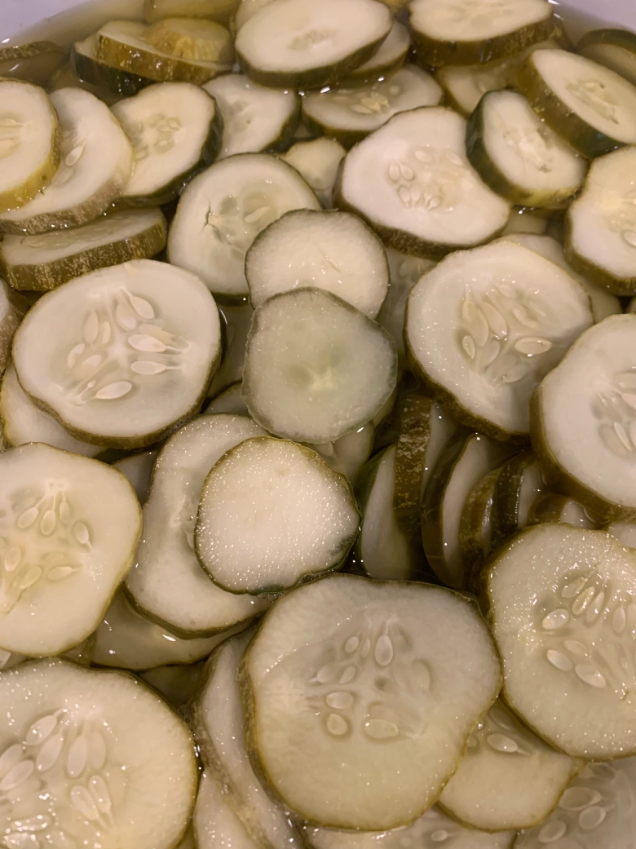 dill-chip-picklespint-16-oz