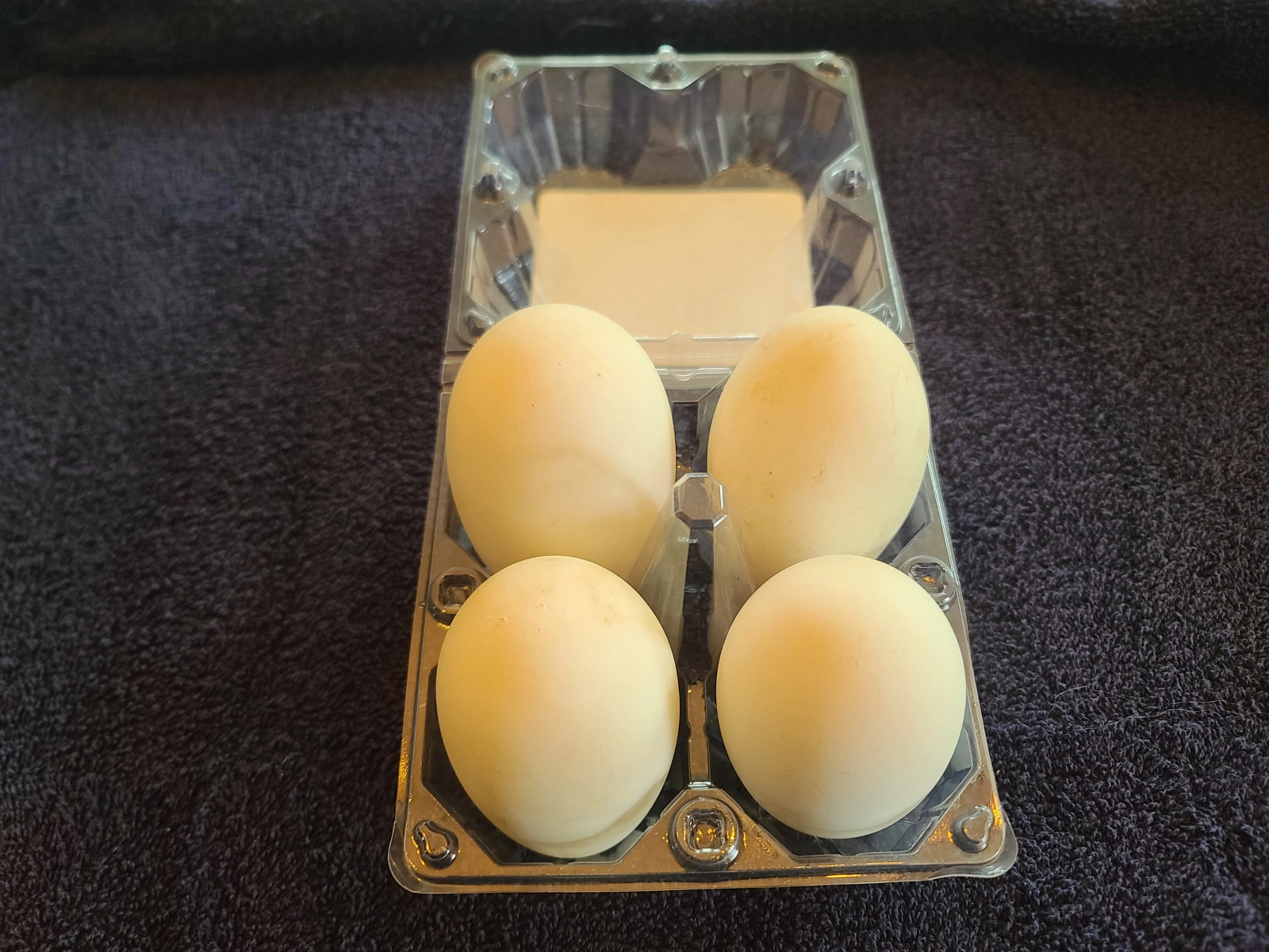4-pack-free-range-goose-egg