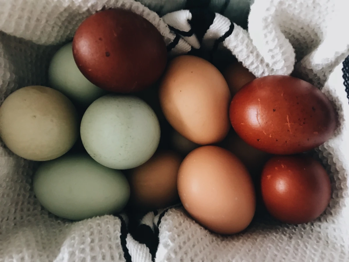 Rainbow Eggs (Sugar, Corn, and Soy Free)