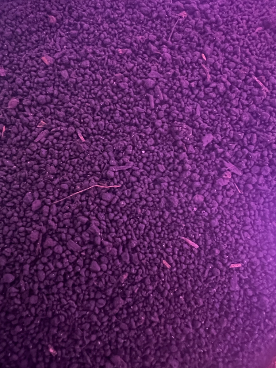 earthworm-castings-one-pound-