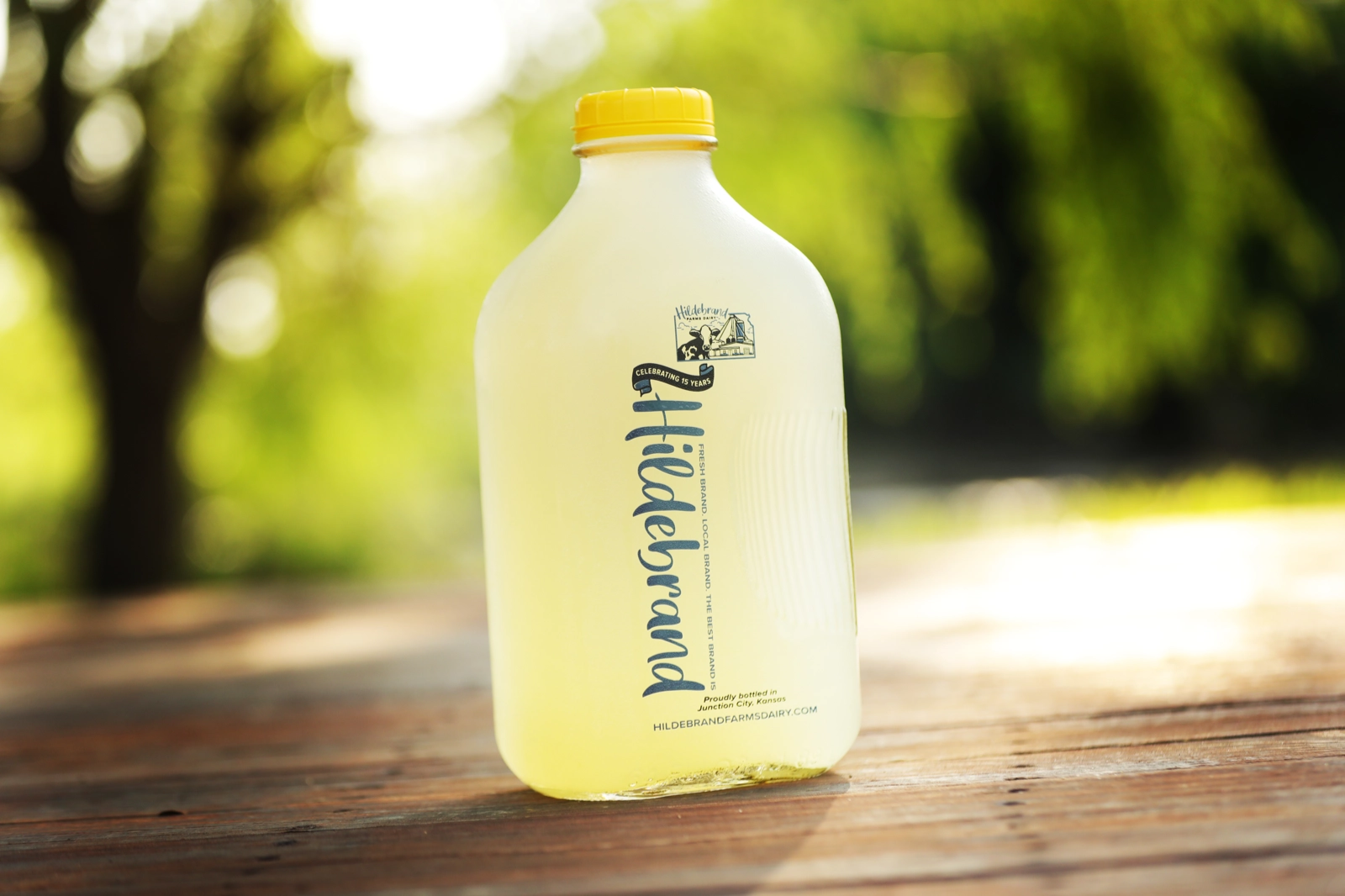 Lemonade - 64 oz