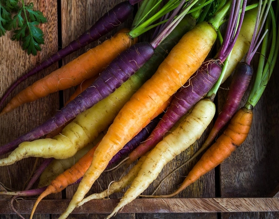 Riehm Produce Farm