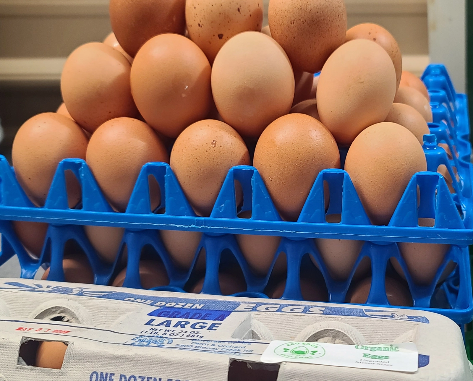 organic-brown-pasture-raised-eggs-1-dozen-xllarge