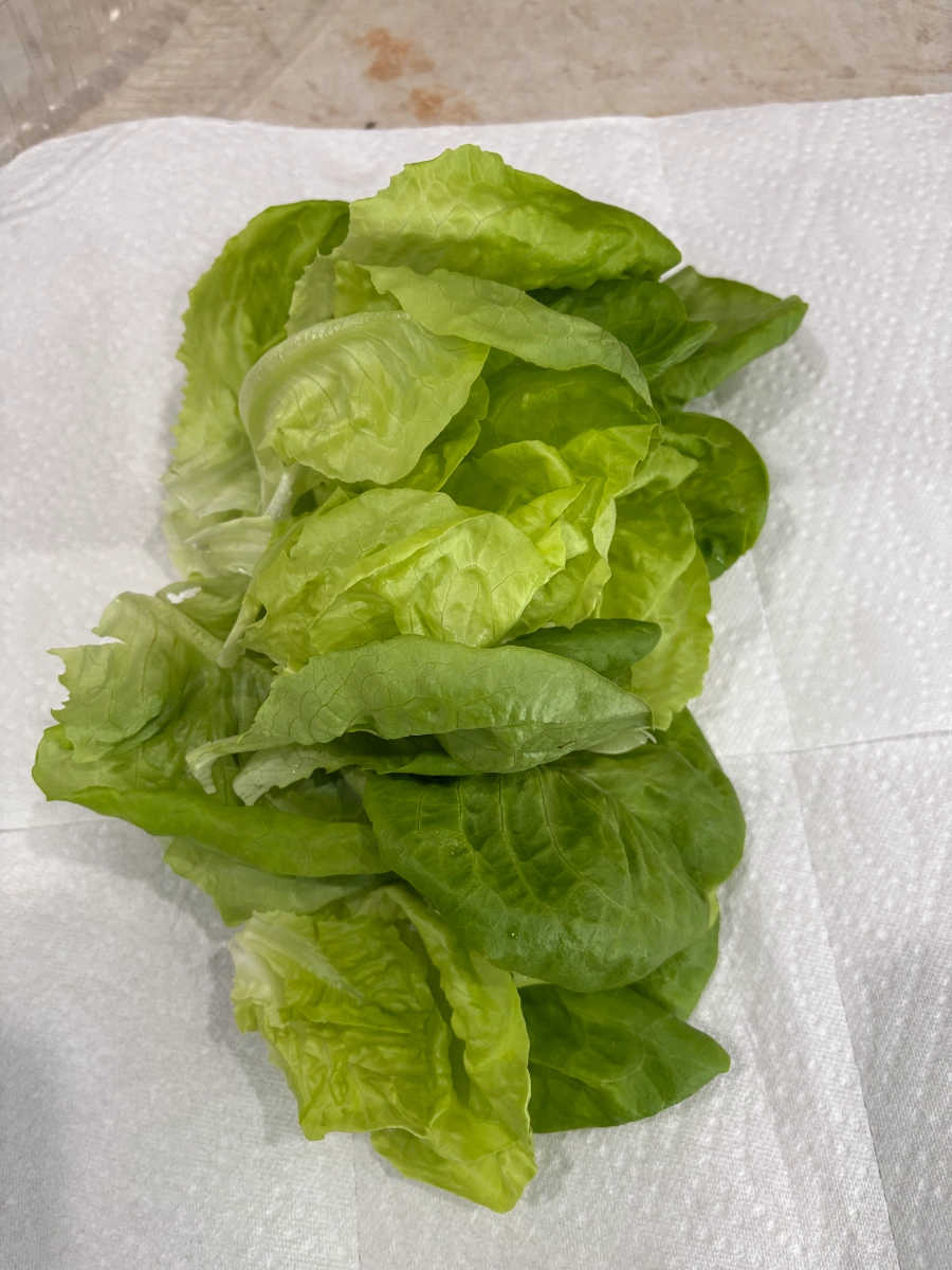 5-oz-butter-lettuce-