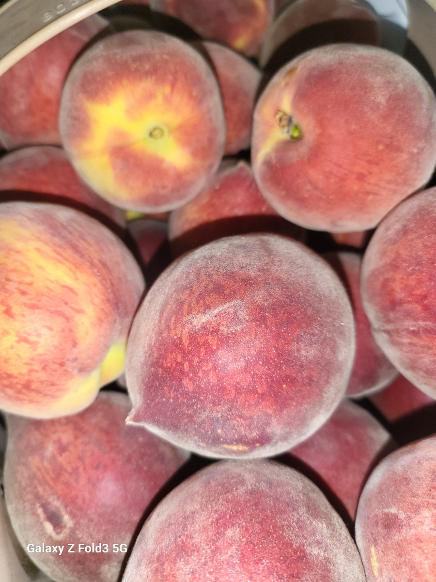 ga-fresh-peaches-2-lbs