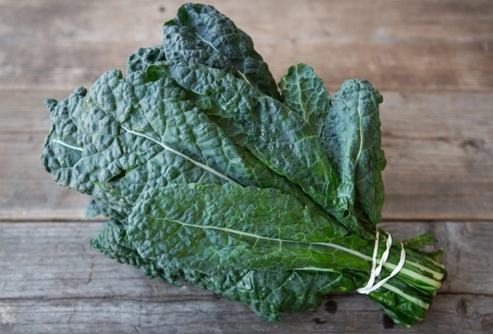 lacinato-kale-1-bunch-certified-organic