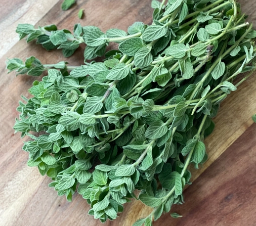 fresh-oregano-cert-organic