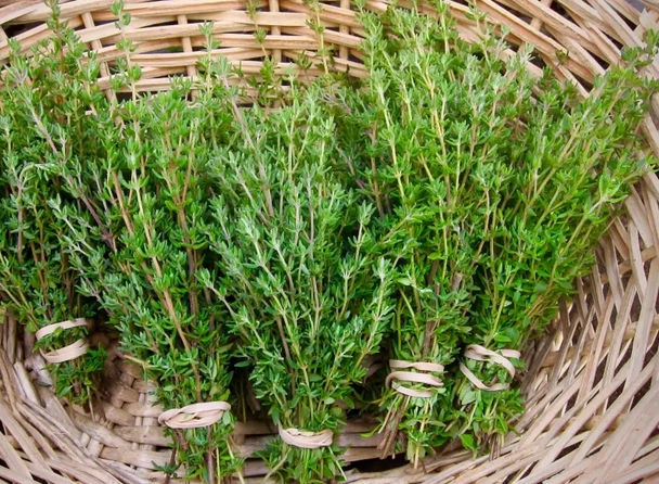 fresh-thyme-cert-organic
