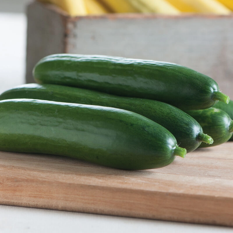 cucumber--small-slicer-each