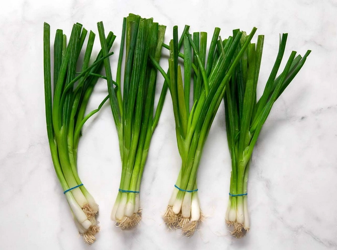 green-onions-1-bunch-cert-organic