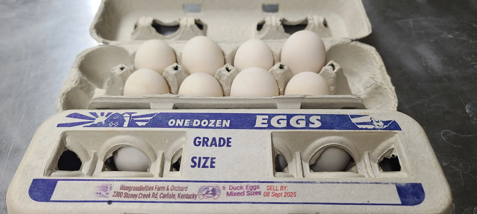 duck-eggs--8-eggs-mixed-size