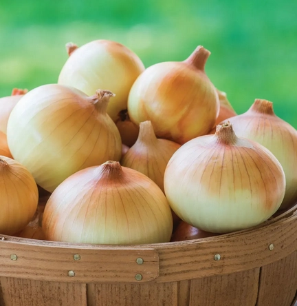 sweet-onions-2-count