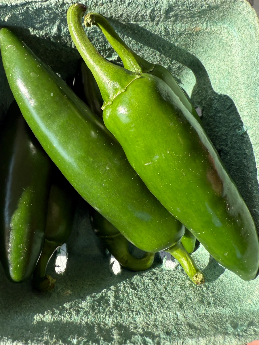 jalapeo-peppers-5oz-pint