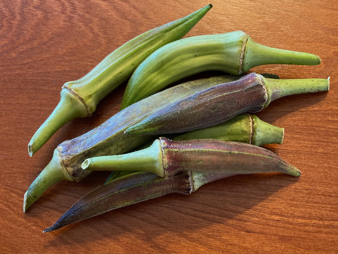 okra-12-lb-bag