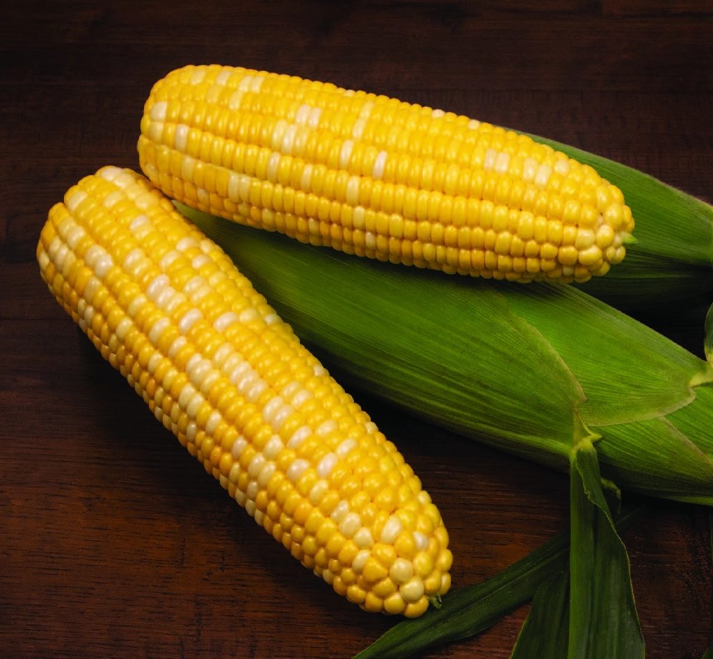 frozen-one-pound-of-sweet-corn-cut-off-the-cob-