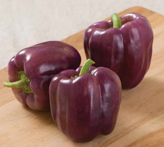 purple-peppers-3-count