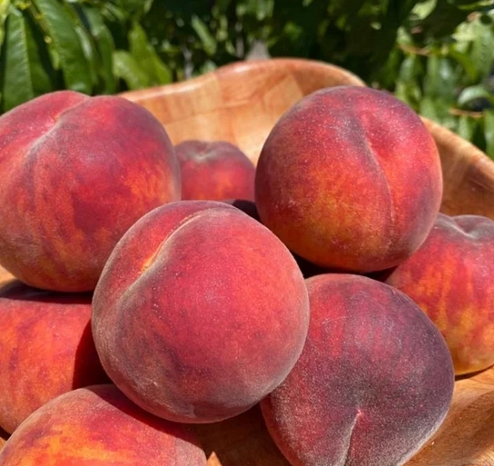 redhaven-freestone-peaches-2-lbs-approx