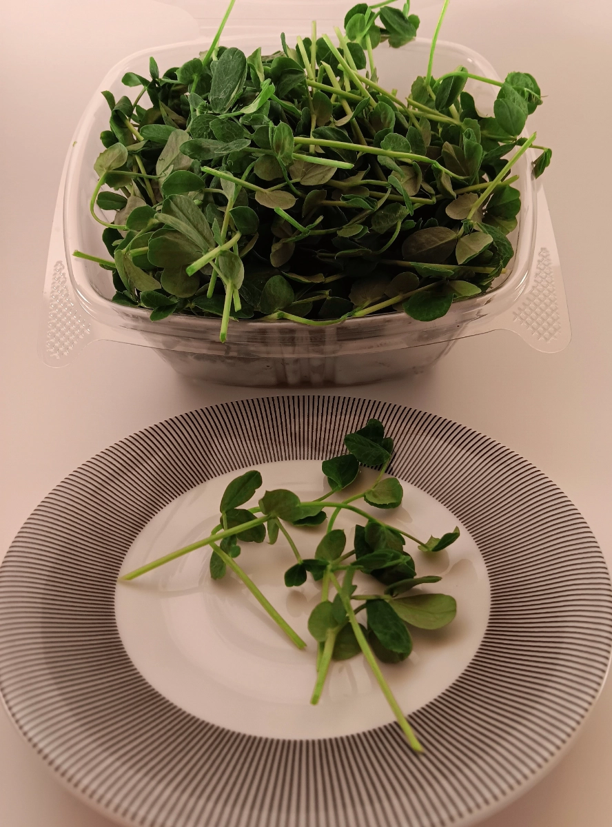 pea-shoots-microgreens-8