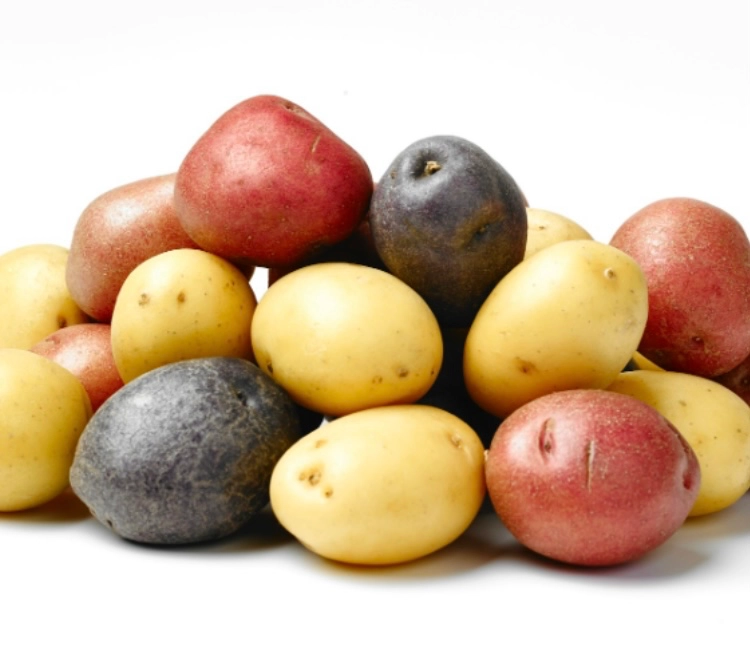 creamer-potatoes-1lb