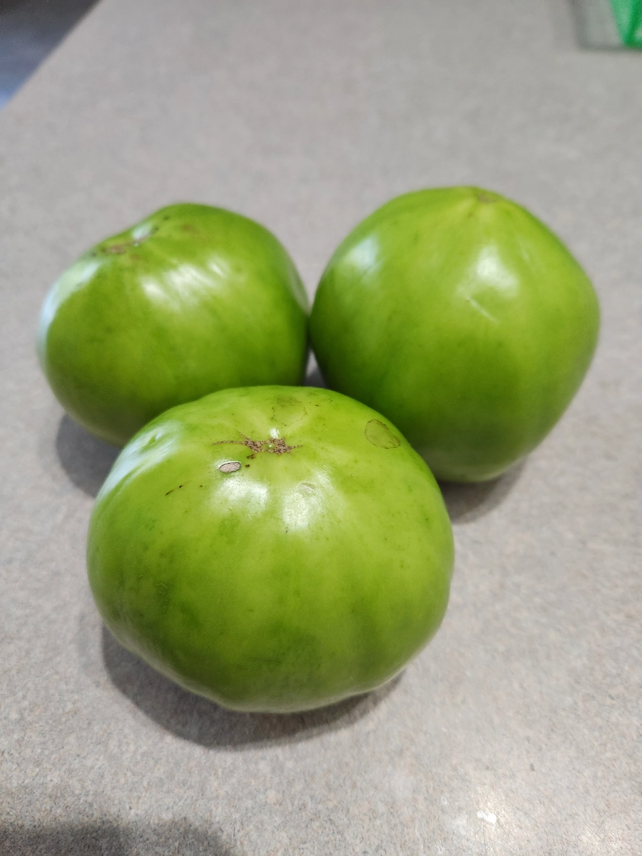 green-tomatoes-qty-3