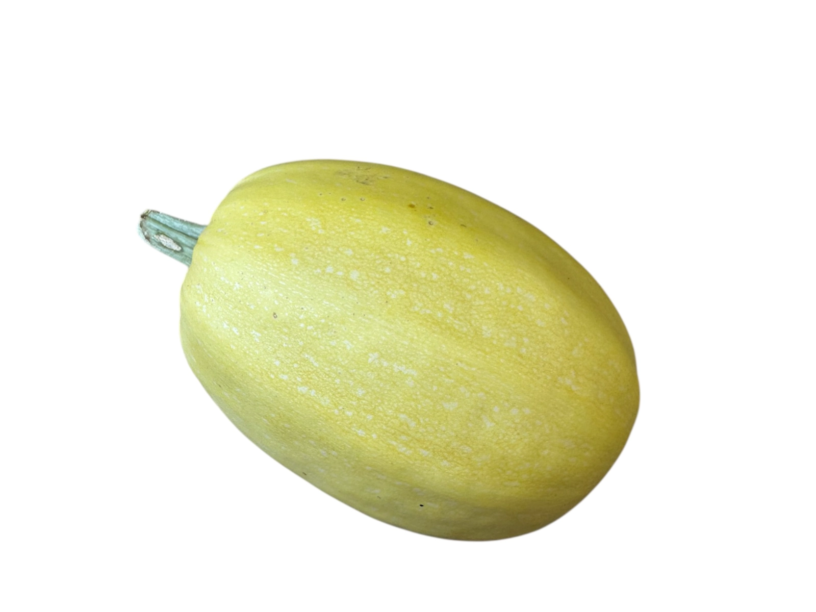spaghetti-squash-each-4