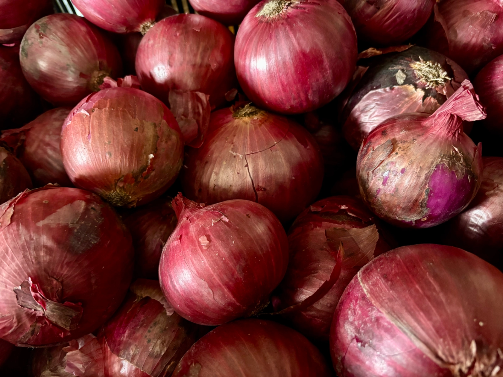 red-candy-onion-3