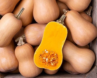 butterbaby-squash-2-count-cert-organic