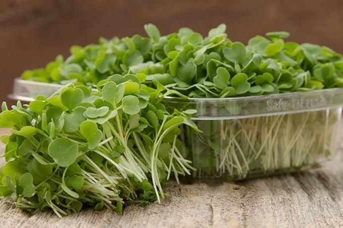 arugula-microgreens-fresh-peppery-2-oz